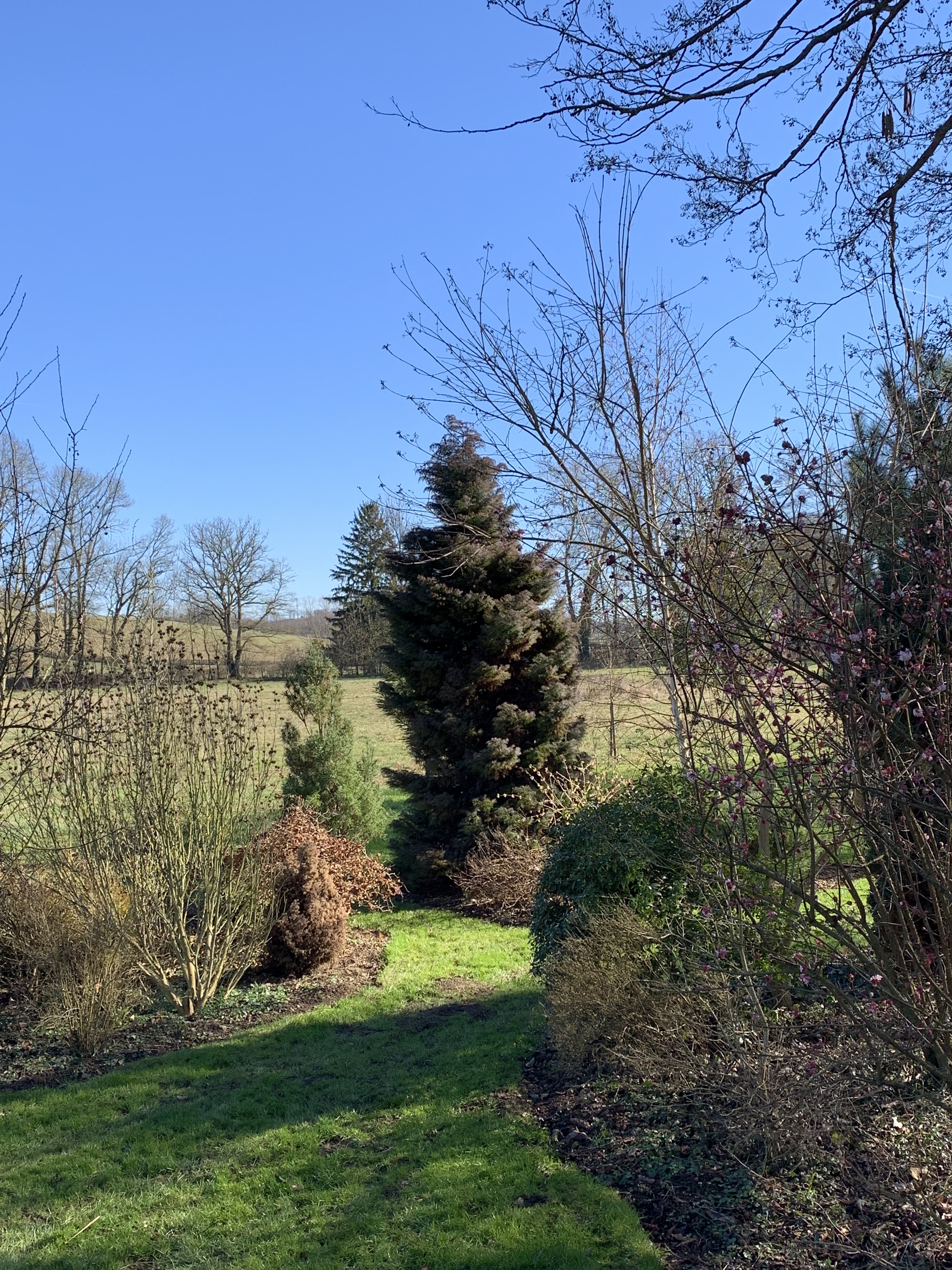 petit arboreum hiver