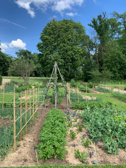potager062019